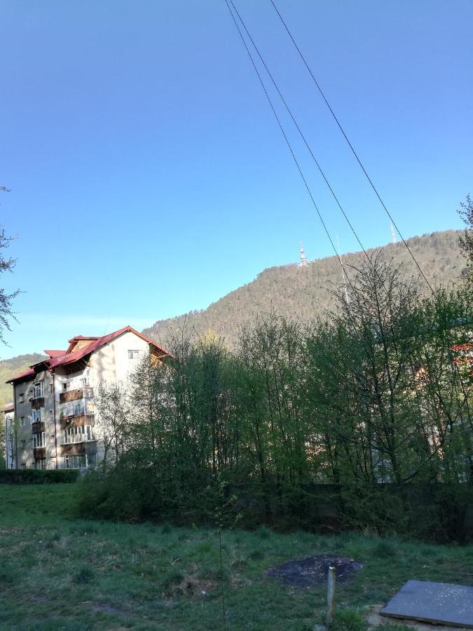 Rustic & Romantic Apartment Брашов Екстериор снимка