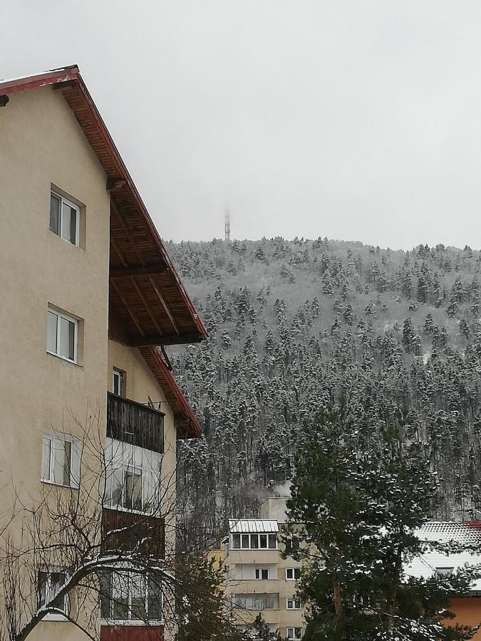 Rustic & Romantic Apartment Брашов Екстериор снимка
